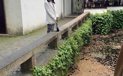 国产AV99激情久久无码天堂